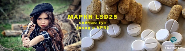 2c-b Кукмор