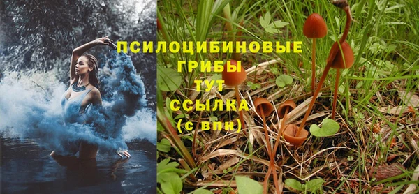 бутират Куйбышев